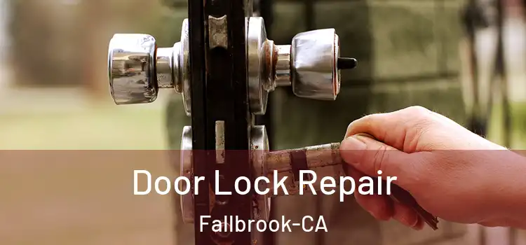 Door Lock Repair Fallbrook-CA